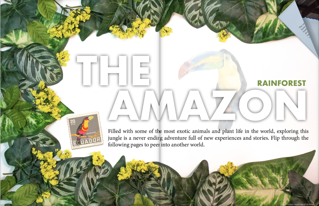 Spread introducing the Amazon story