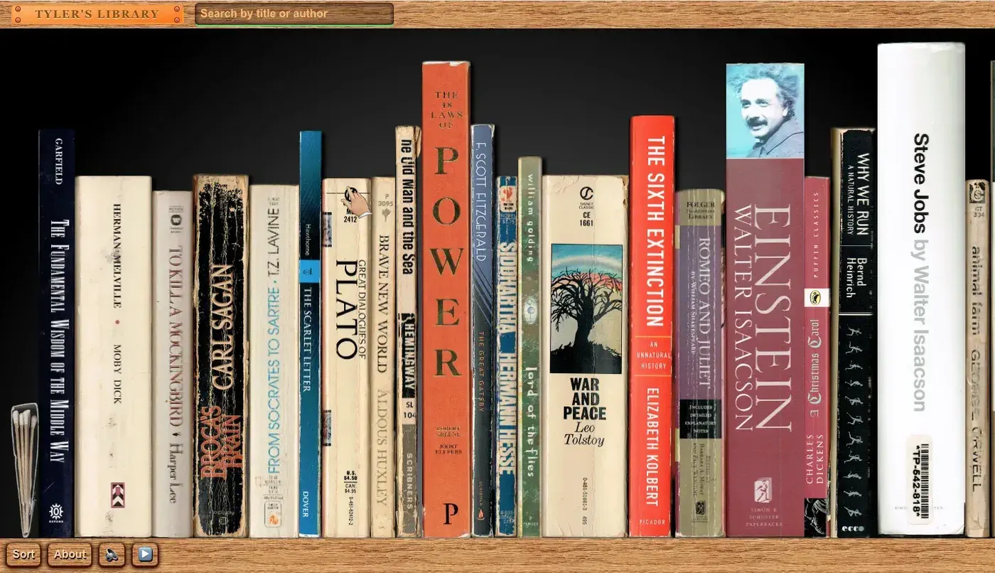 Skyline Lab branding collage